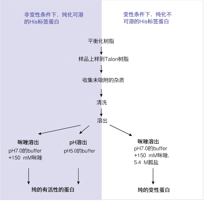 钴离子柱-重力