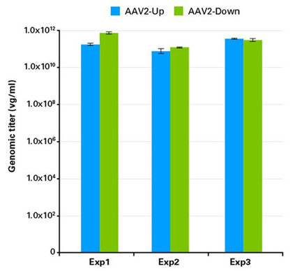 AAVpro&reg; CRISPR/Cas9 Vector System