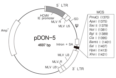 pDON-5 DNA
