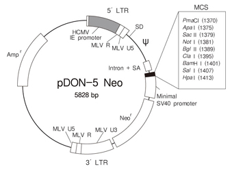 pDON-5 Neo DNA