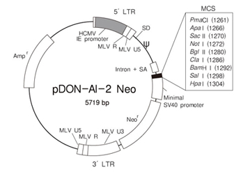pDON-AI-2 Neo DNA