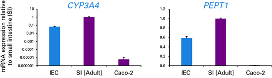 Human Stem Cell Derived Intestinal Epithelial Cells