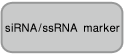 Synthetic siRNA Quantitation Core Kit