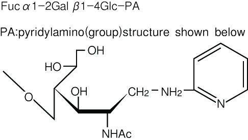 PA-Sugar Chain 049