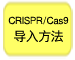 CRISPR/Cas9慢病毒系统