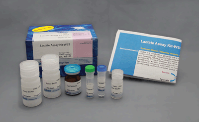 脂肪滴測定キット Lipid Droplet Assay Kit - Blue　同仁化学研究所