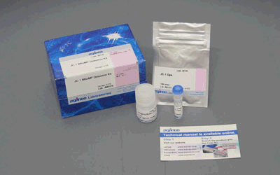解糖系/ミトコンドリア膜電位測定キット Glycolysis/JC-1 MitoMP Assay Kit　同仁化学研究所