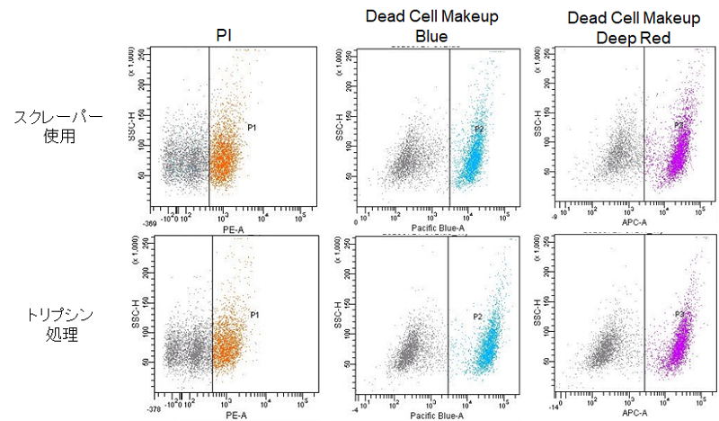 死細胞標識試薬（Deep Red） Dead Cell Makeup Deep Red - Higher Retention than PI　同仁化学研究所