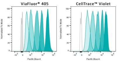 ViaFluor® SE Cell Proliferation Kits