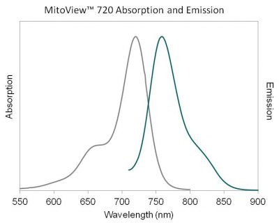MitoView™ Mitochondrial Dyes