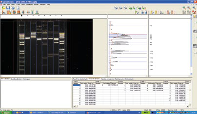 GeneGnome XRQ专业化学发光成像系统 GeneGnome XRQ Chemiluminescence Imaging Syste